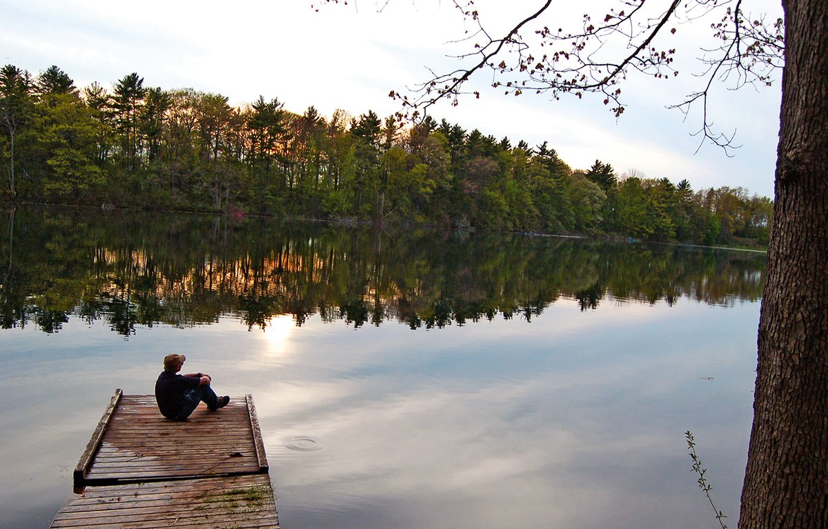 Not only does earth provide us with a home, oxygen, natural landscapes and resources, but contact with nature can provide stress relief, reduce brain fatigue, enhance the five senses, improve memory and mood. Visit a Conservation Area near you! 🌲ontarioconservationareas.ca/conservation-a…