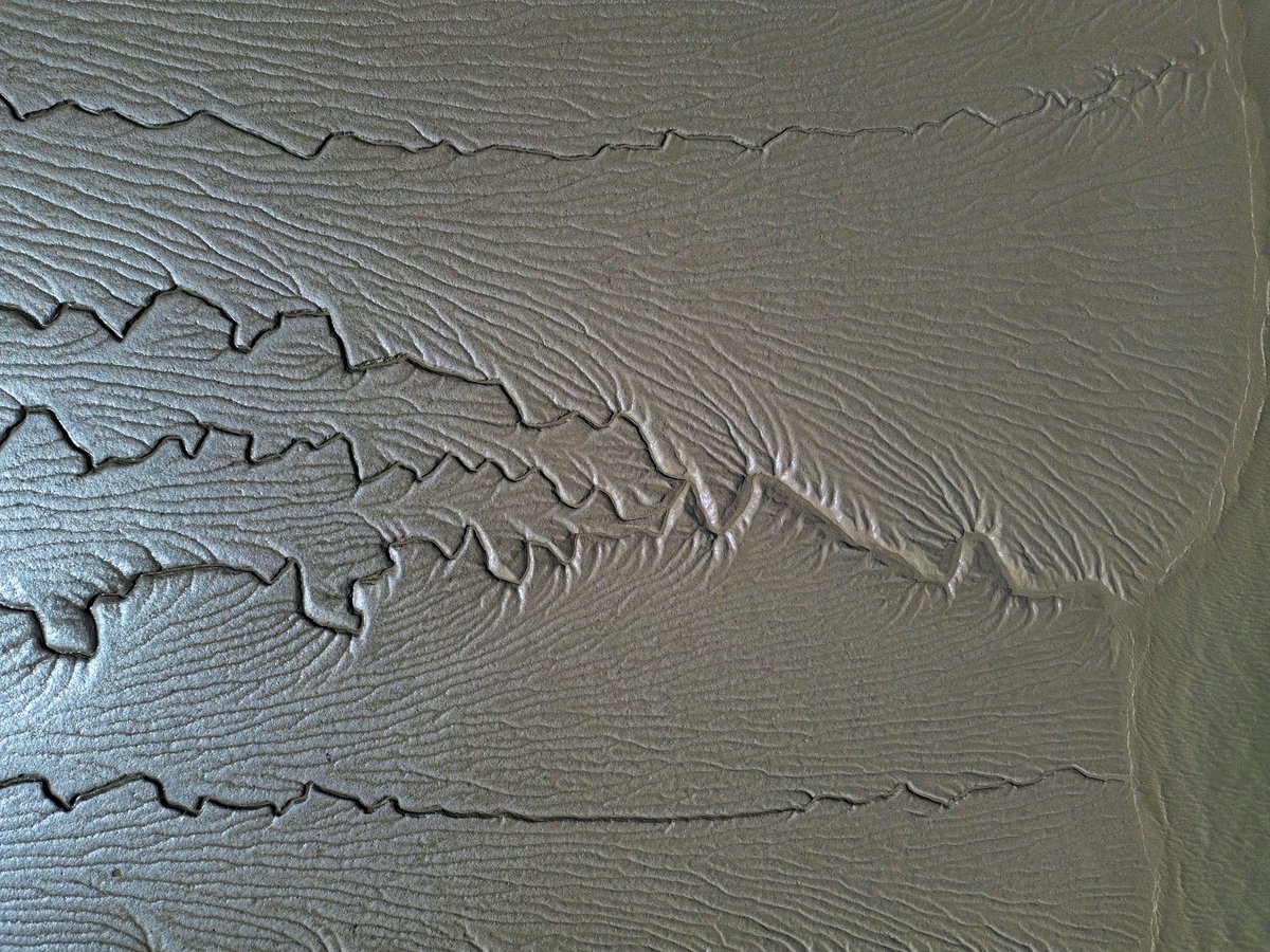 Stunning along the estuary this morning at Old Passage.