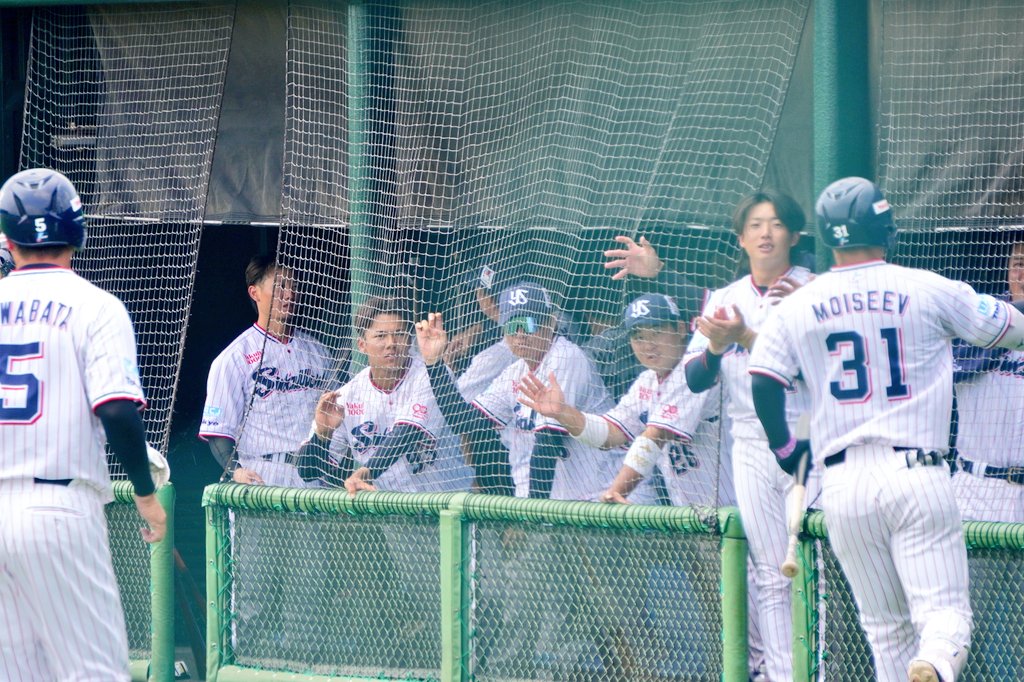 Asa100139's tweet photo. ニキータくん2ランの時の
ベンチが最高でした!
#teamswallow
2025/07/09戸田 https://t.co/4VzEJtfat4