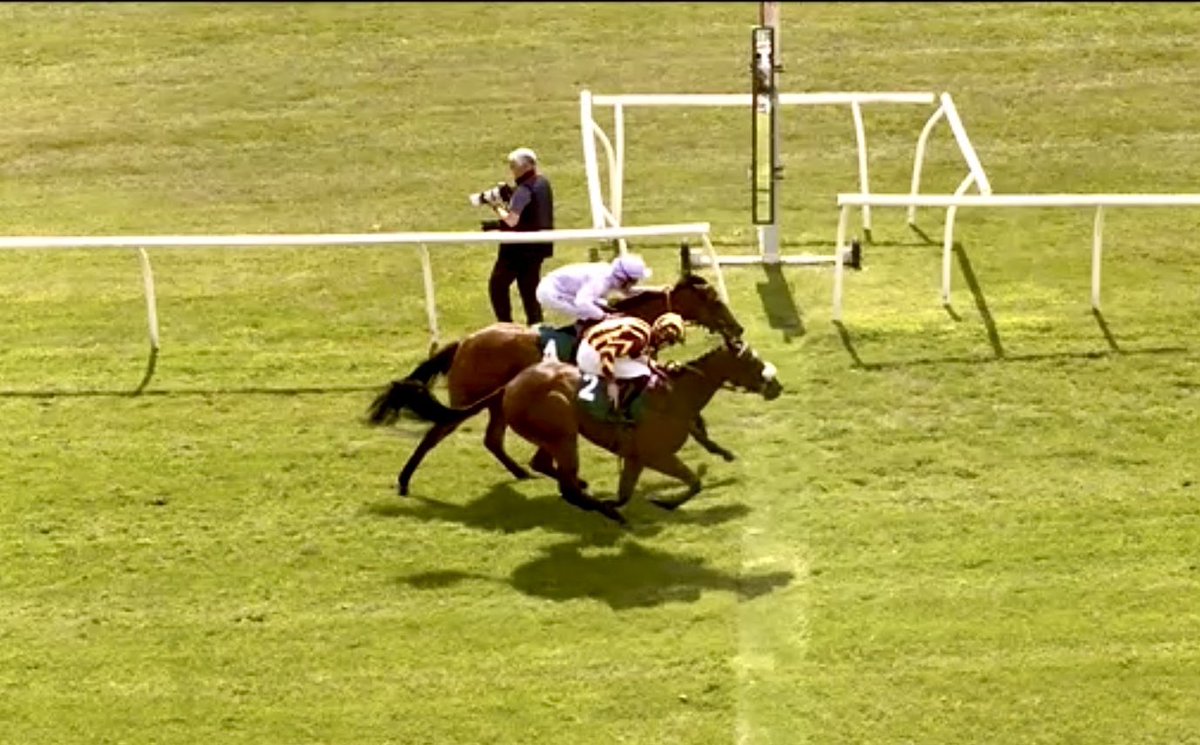Nik D (@nikidoog) on Twitter photo Oasis Diamond gets it on the line ⭕️🐴
Top ride from Billy for <a href="/MickEasterby/">Michael & David Easterby Racing</a> Oasis Diamond gets it on the line ⭕️🐴
Top ride from Billy for <a href="/MickEasterby/">Michael & David Easterby Racing</a>