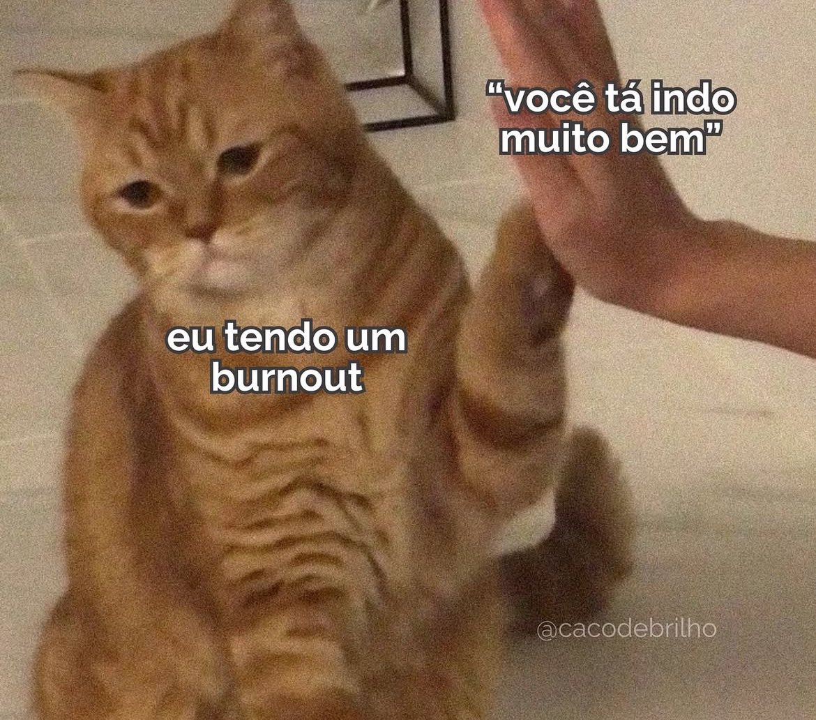 vittor's tweet image. 