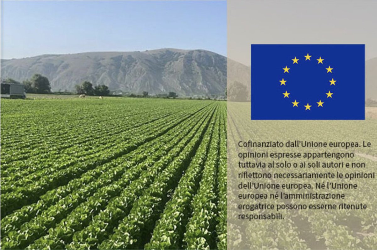 ANSA Europa (@ansaeuropa) on Twitter photo Un bilancio dedicato e rafforzato, meno #burocrazia per gli #agricoltori e #incentivi per il ricambio generazionale.
Scopri di più👇🏼
ansa.it/europa/notizie…
#ANSA
#IMCAP
<a href="/EUAgri/">EU Agriculture🌱</a> Un bilancio dedicato e rafforzato, meno #burocrazia per gli #agricoltori e #incentivi per il ricambio generazionale.
Scopri di più👇🏼
ansa.it/europa/notizie…
#ANSA
#IMCAP
<a href="/EUAgri/">EU Agriculture🌱</a>