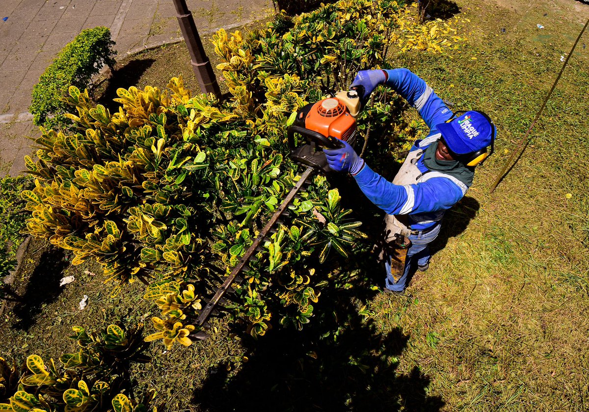 La fuerza 💪🏽, el ejemplo y el amor incondicional con el que trabajan nuestros Soldados Azules, queda plasmado en cada labor. ✨ Hoy se desplazaron hasta el centro de Ibagué para embellecer la Plaza de Bolívar ⛲️ y el parque Murillo Toro, así que si los ves, ¡sonríeles! 😁💕