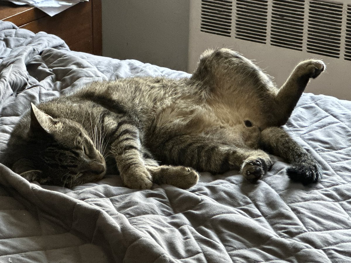 Look at this jerk