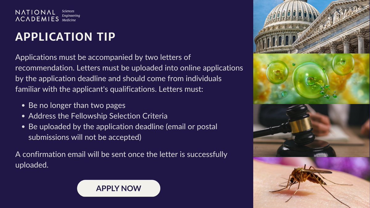 NASEM_BioRegFS's tweet image. Application Tip:
For the Biotechnology Regulatory Fellowship, recommendation letters must be requested & received online before the application deadline. Plan ahead to ensure everything is in on time.
Apply now - ow.ly/EuMM50Wh0ZI
#BiotechnologyFellowship #STEMandPolicy