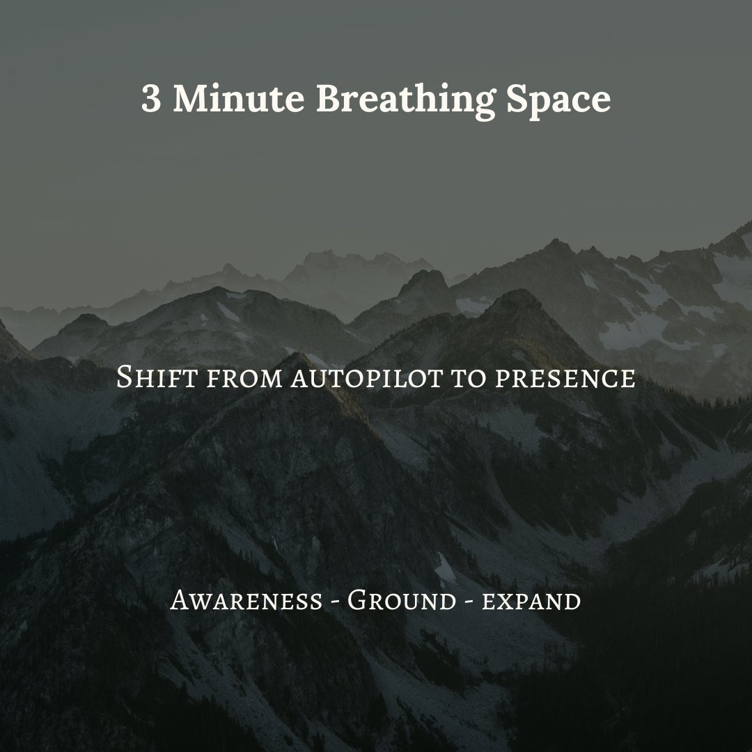Mt_mind_tricks's tweet image. 🌬️ The Most Powerful 3 Minutes of Your Day

The 3-Minute Breathing Space (MBSR) helps shift you from reactivity to presence — with just 3 breaths of Awareness, Grounding &amp;amp; Expansion.

Start now, heal deeper.

🌀 Subscribe: substack.com/@thomaswurm

#Mindfulness #MBSR