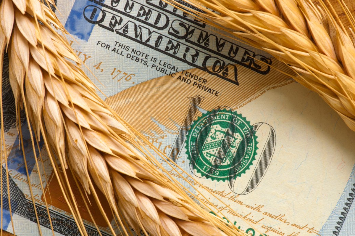 TheAchesonGroup's tweet photo. Should #FDA charge more user fees to fund #FoodSafety? Studies suggest fees could strengthen oversight & benefit industry by improving efficiency. But would costs rise for companies? https://t.co/E4rhtJIzyp
#UserFees https://t.co/ISTSQHf7V9