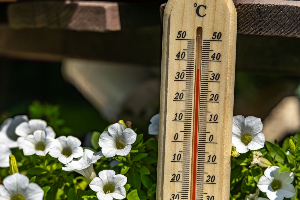 Het Oranje Kruis
1 juli om 09:50  ·

Weet jij wat je moet doen bij klachten als duizeligheid, hoofdpijn of misselijkheid door de hitte? En wat als het zelfs lijkt op een levensgevaarlijke hitteberoerte?
ehbo.nl/tips/oververhi…