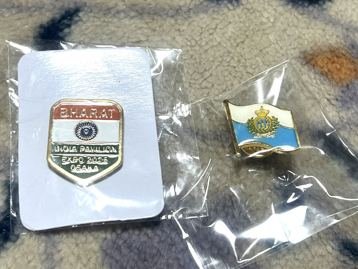 万博　インド　バーラト　ピンバッジ 今日の万博での買い物。 バーラト（インド）で ・象の置物2つ
