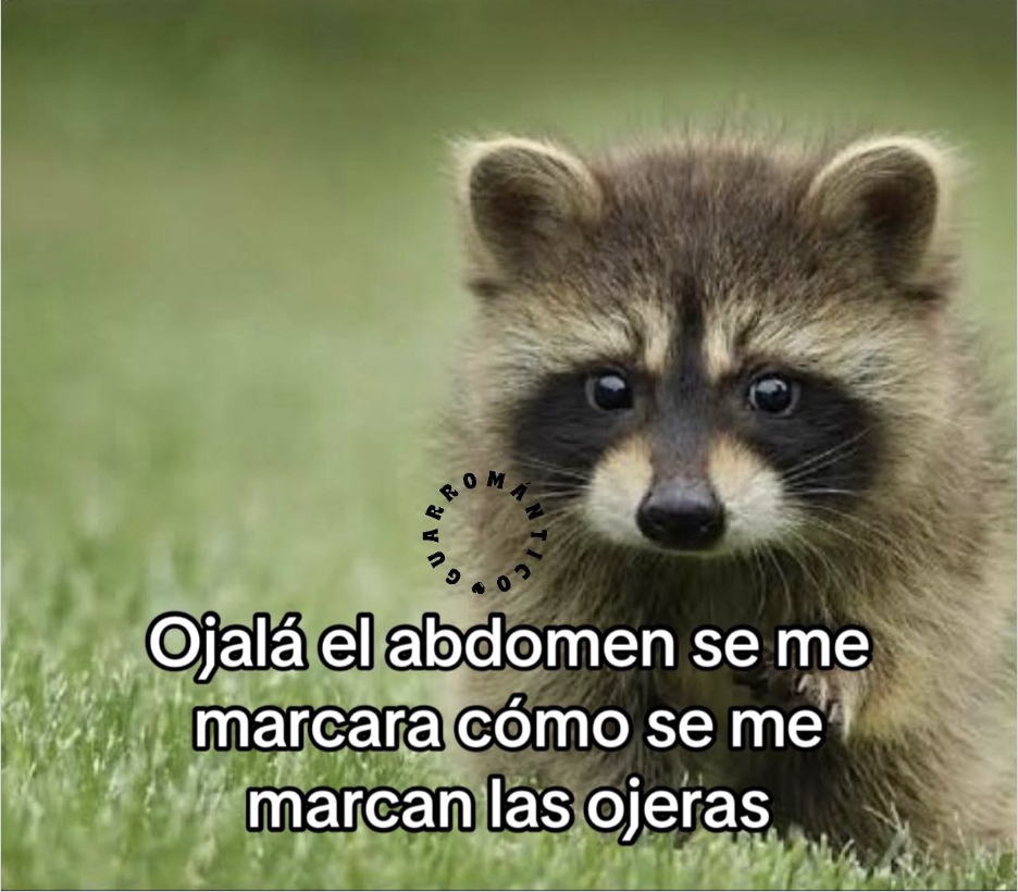 El Guarromántico tweet media