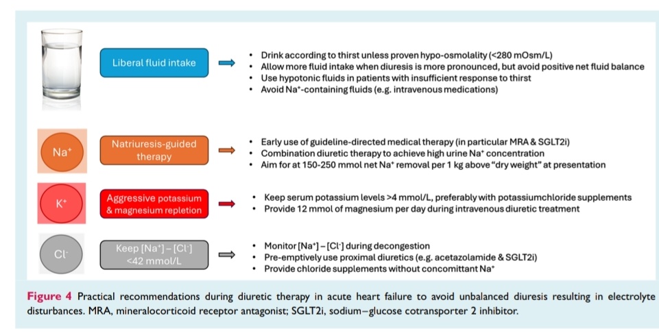 SOMELaguna's tweet photo. Manteniendo la Homeostasis de Agua y Electrolitos Durante la Descongestión en Insuficiencia Cardíaca 🫀💧

🔰📚European Journal of Heart Failure 2025

doi:10.1002/ejhf.3727

Enlace a Artículo Completo 👇🏼✅🆓https://t.co/rPEDXf5xvO https://t.co/q1dWeW3niR
