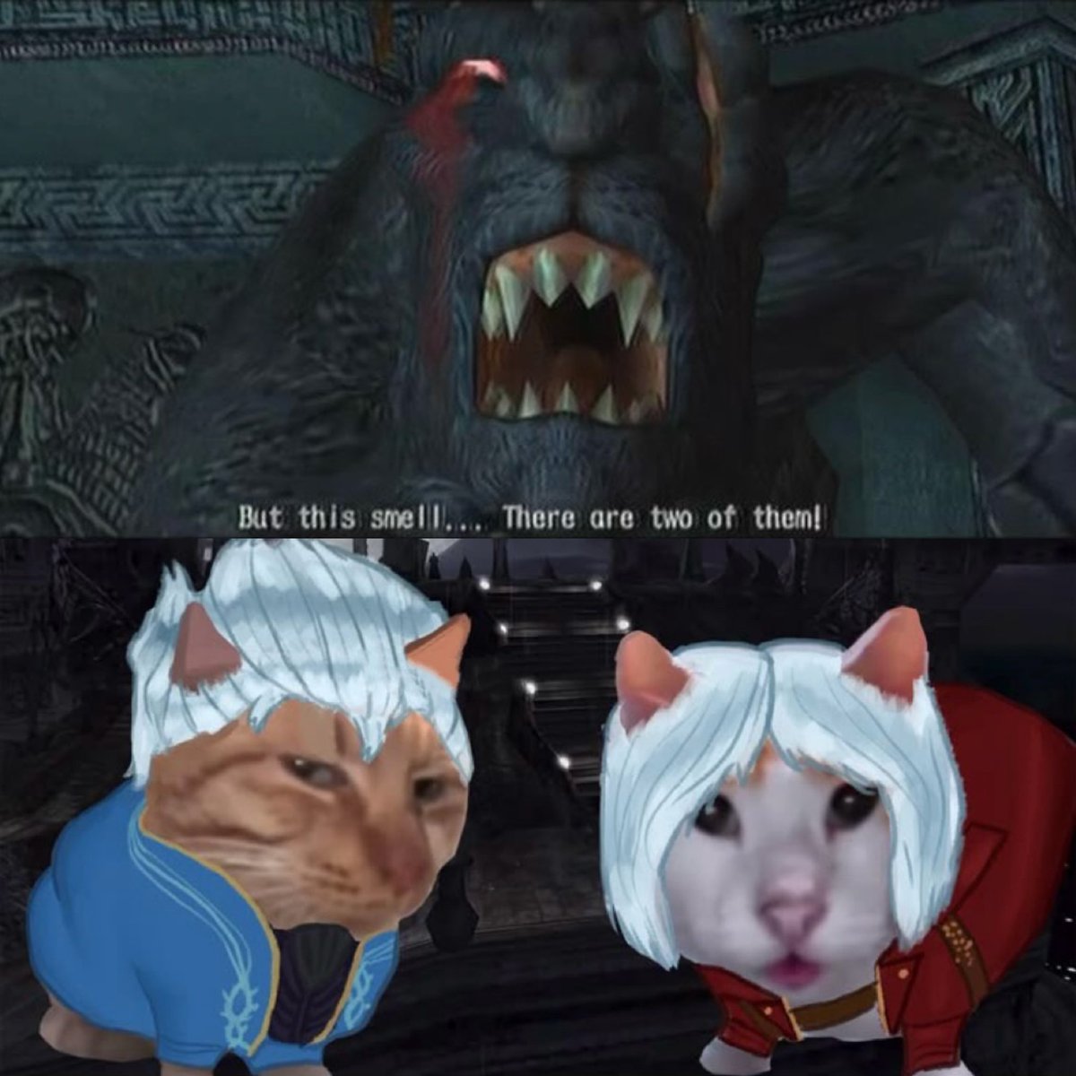 Two Sparda Cat🥴