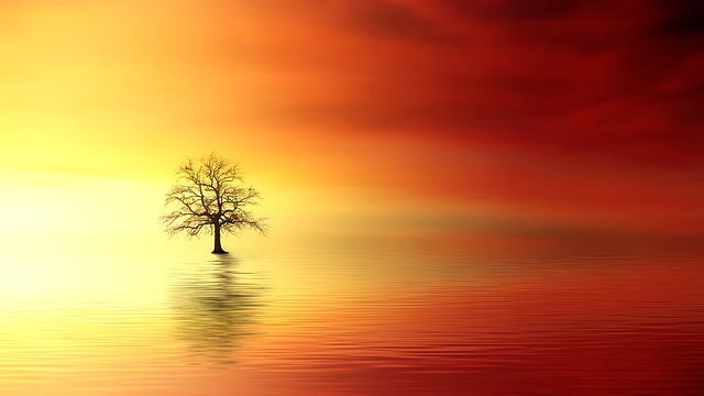 BethFratesMD's tweet photo. There's beauty all around us,
but if we don't open our eyes to it,
we won't see it. So, be open.
π·πΌπΈπ
#WednesdayWisdom #Nature #WellnessJourney #WeThriveTogether #pavingwellness https://t.co/soyZUhjfoz