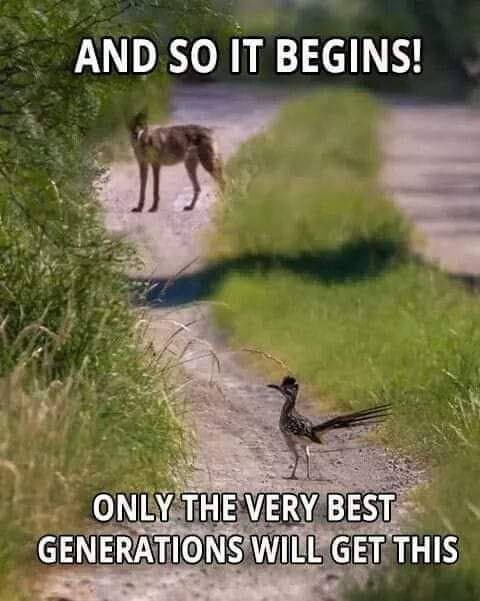 smithsk's tweet photo. #cartoons #RoadRunner #nostalgia #humor https://t.co/v9SM7H5O06