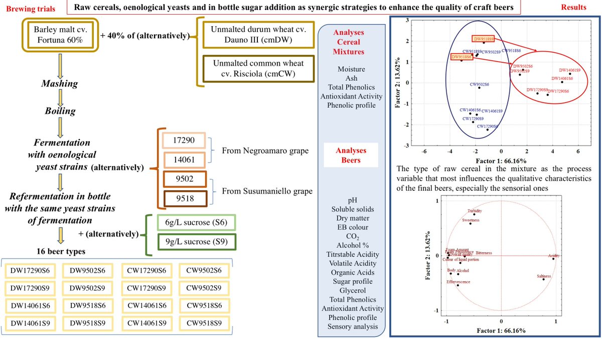 #mdpibeverages Read the Editor's Choice Paper! 
Unmalted Cereals, Oenological Yeasts, and In-Bottle Sugar Addition as Synergic Strategies to Enhance the Quality of Craft Beers
brnw.ch/21wU0Wl
<a href="/MDPIOpenAccess/">MDPI</a> <a href="/MDPIbio/">MDPI BiologyLifeSci</a> <a href="/Scilit_/">Scilit</a> 
#beverages #cereals #beer #CraftedBeers
