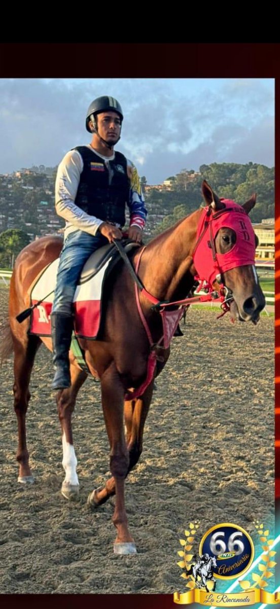 Riccardo D'Angelo tweet media