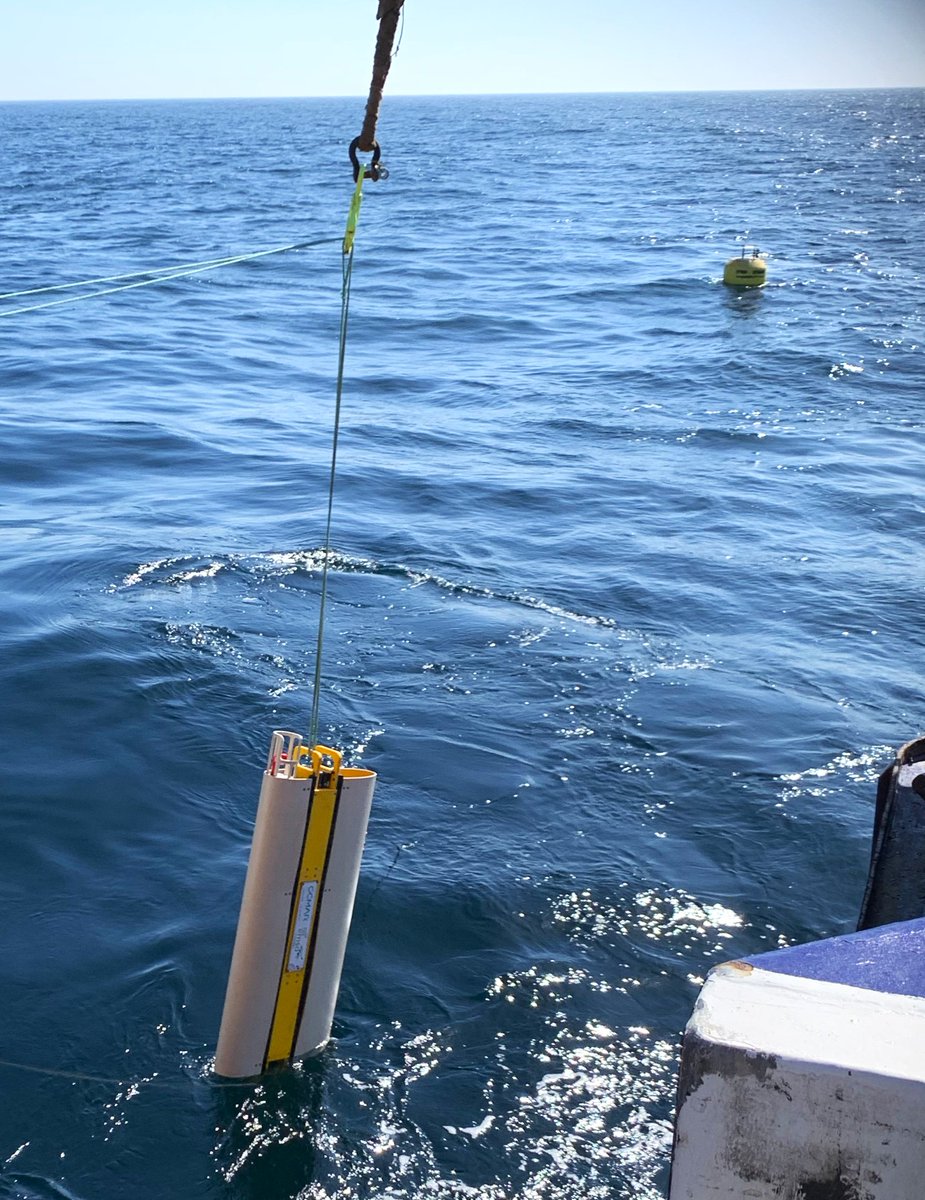 EMSOeu's tweet image. 🚨The IbMa-CSV station is again in the water!
📅 Deployed May 24, 2025
📍10 NM south of Cape São Vicente, SW Iberia, Portugal
📉The station will retrieve data continuously for another period of 4 months
🔗Want to know more?  emso.eu/2025/07/09/ibm…