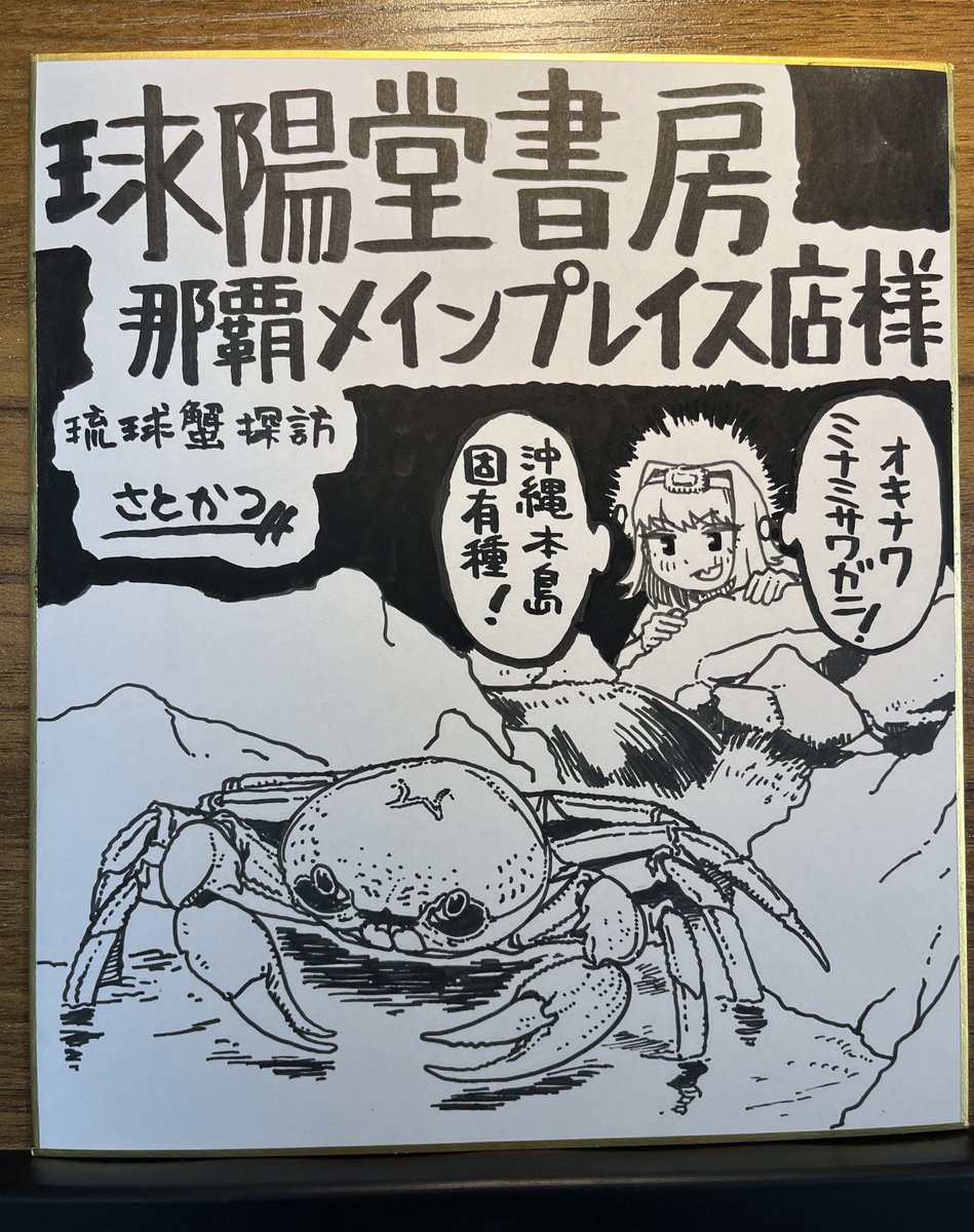 オキナワミナミサワガニ！