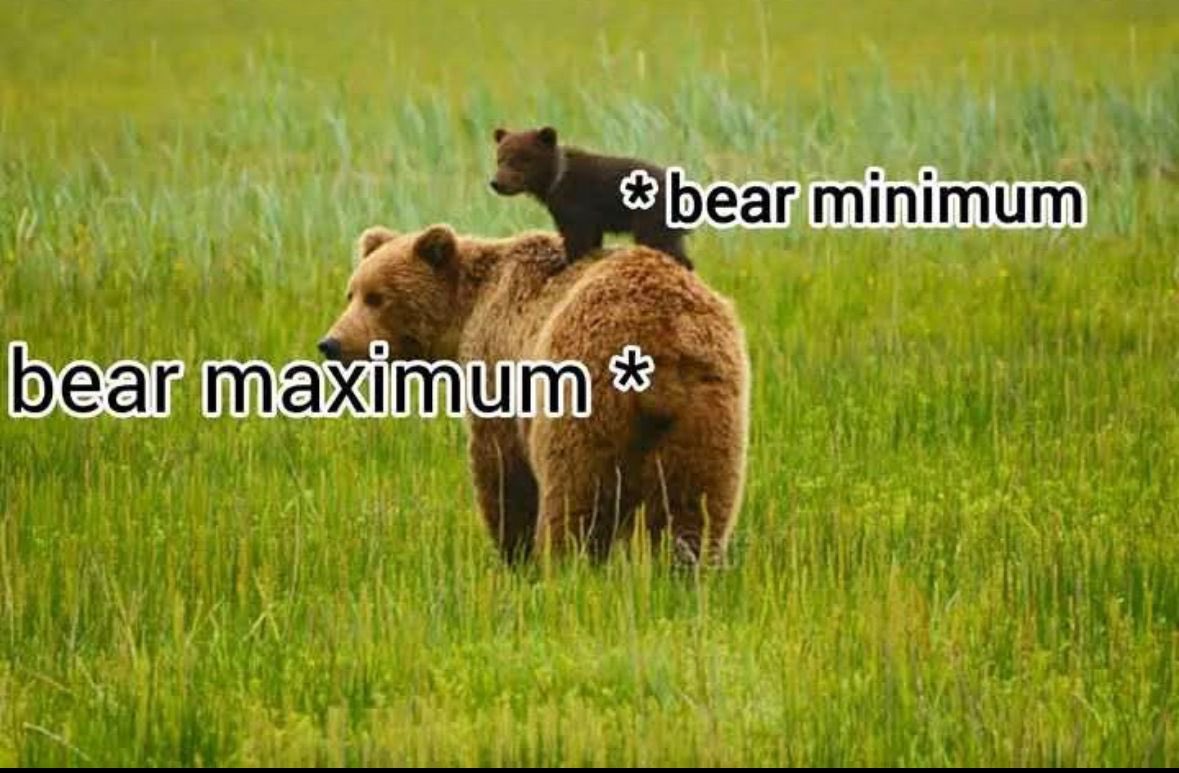 🐻 Bear 🍃 tweet media