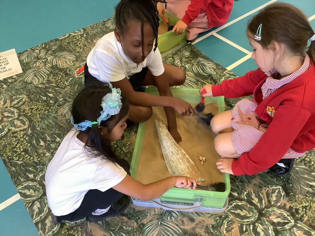 SpringfieldBeds's tweet image. EYFS and KS1 learners had an incredible time at our fossil dig workshop. They got hands-on digging for dinosaur fossils and discovering the wonders of prehistoric creatures. They even got to meet Trixie, the baby dinosaur! 🦕🦖 @GiantJourneys