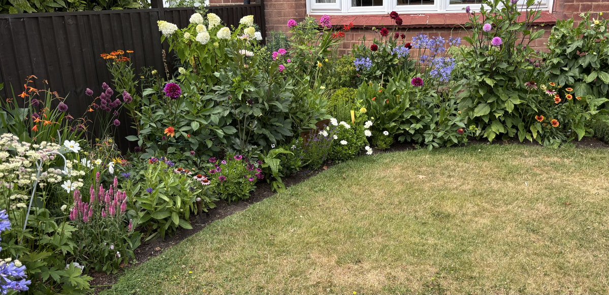 GinnyA24601's tweet image. They can ban hosepipes if they like.
I’m not listening.
I will not let these beauties die…
