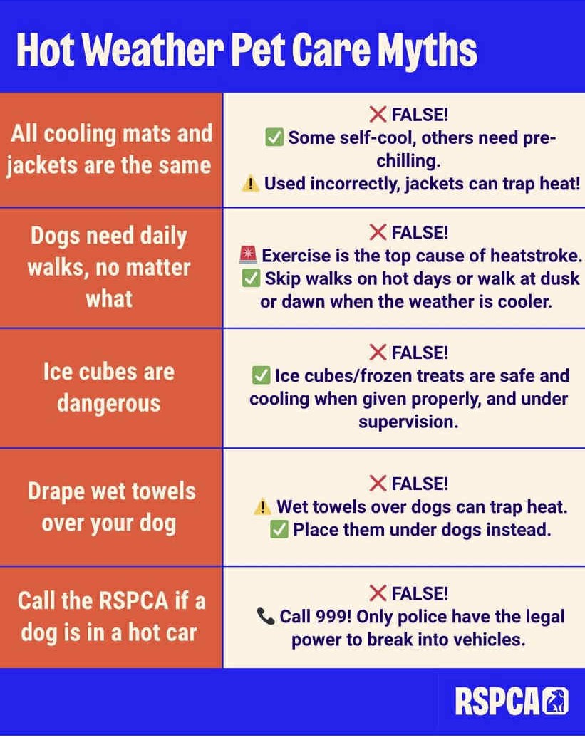 ⚠️Please share

Handy myth buster info graphic for pet care during hot weather.  Visit rspca.org.uk for more info.