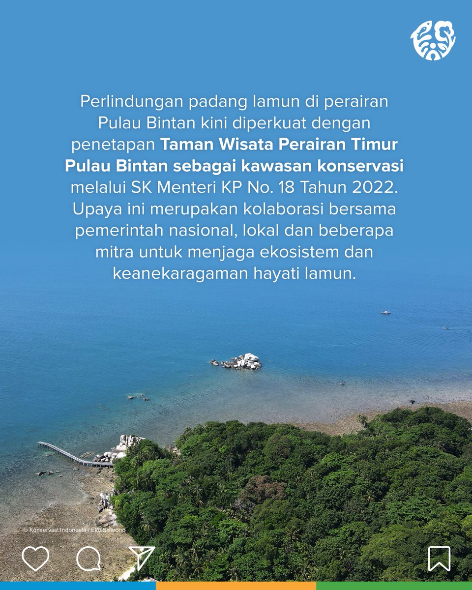 (2/2) Simak fakta menarik lainnya di konten ini!

#Seagrass #BlueCarbon #KarbonBiru