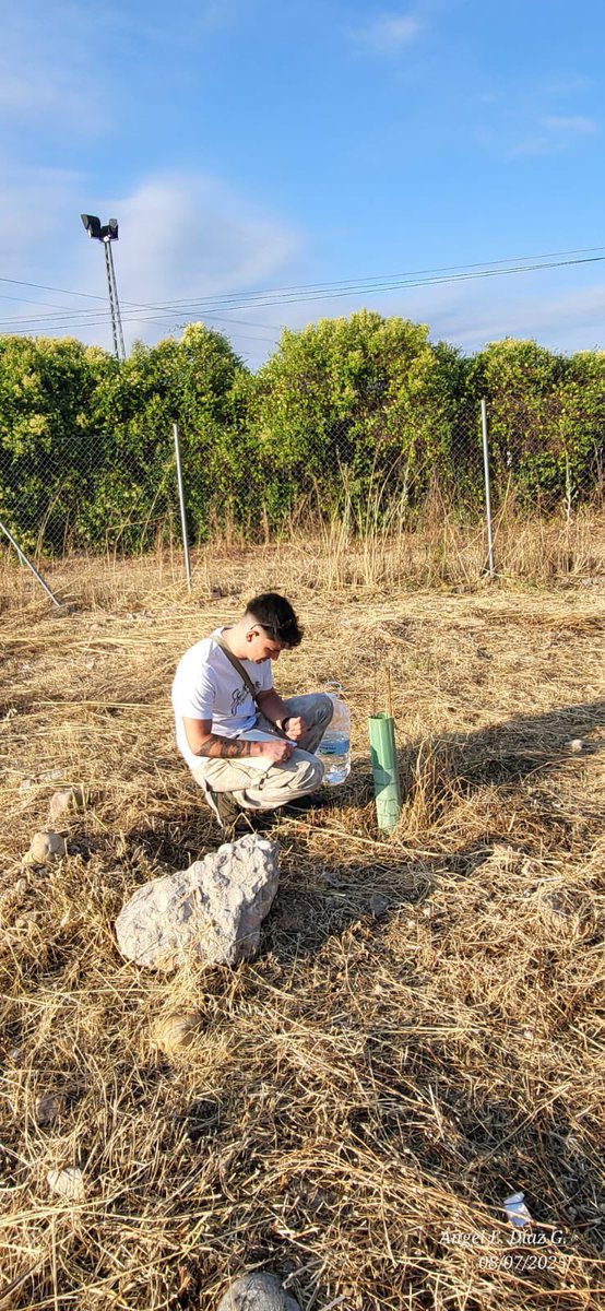 1Millón de Árboles X El Cambio Climático-Alcalá (@alcalaverde1) on Twitter photo ✅ Los miembros de “1 MILLÓN DE ÁRBOLES” Hemos estado regando los árboles que hemos plantado en Alcalá de Henares.
✅ Además de realizar los riegos, es un marco incomparable, en los que compartimos gratos momentos con todos los compañeros asistentes.
✔️ya estamos preparando próx ✅ Los miembros de “1 MILLÓN DE ÁRBOLES” Hemos estado regando los árboles que hemos plantado en Alcalá de Henares.
✅ Además de realizar los riegos, es un marco incomparable, en los que compartimos gratos momentos con todos los compañeros asistentes.
✔️ya estamos preparando próx