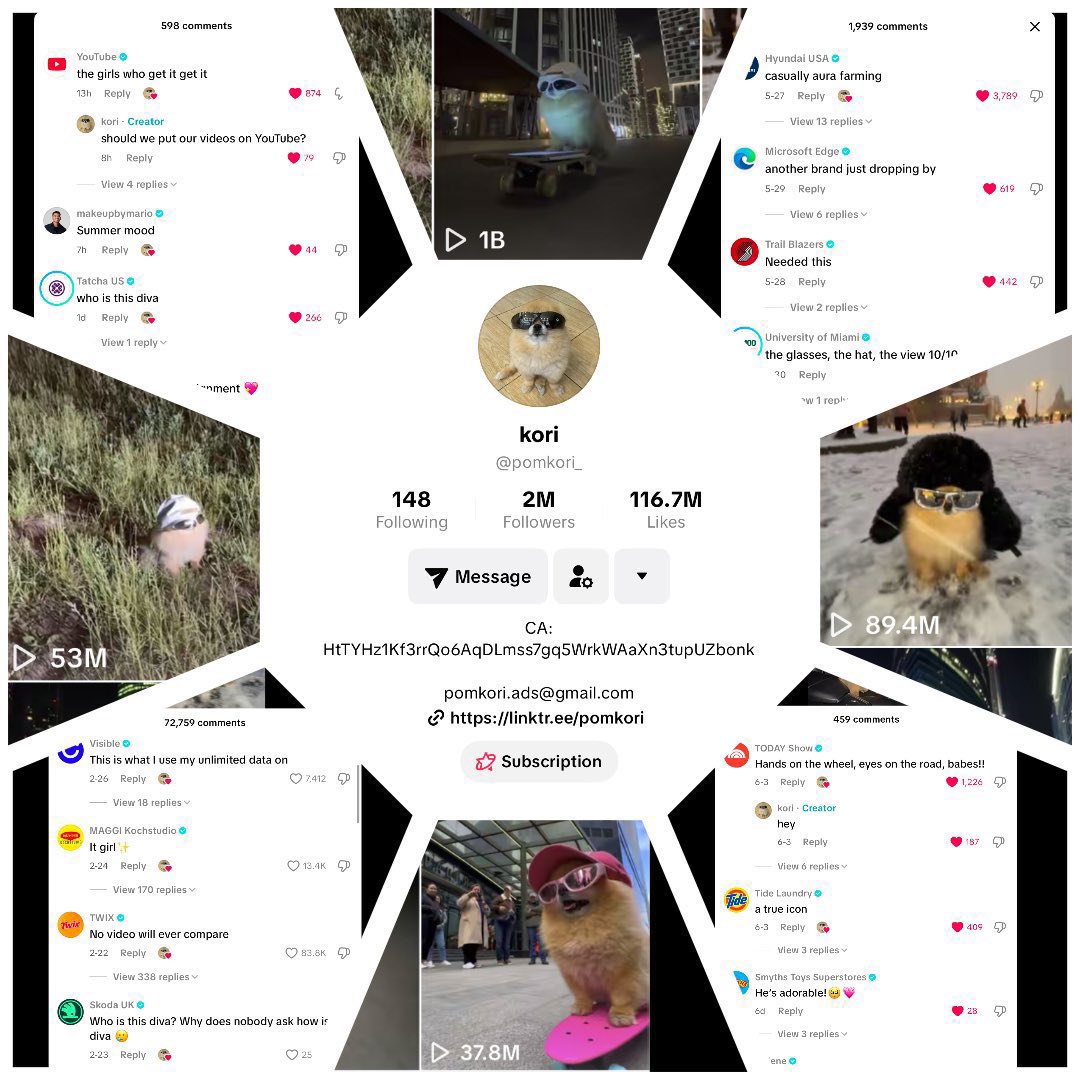 Johnny Li Quid tweet media