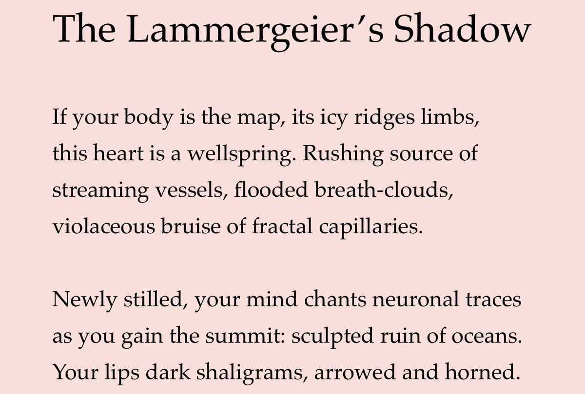 BadLilies's tweet image. 'The Lammergeier's Shadow' by Gita Ralleigh badlilies.uk/gita-ralleigh-1