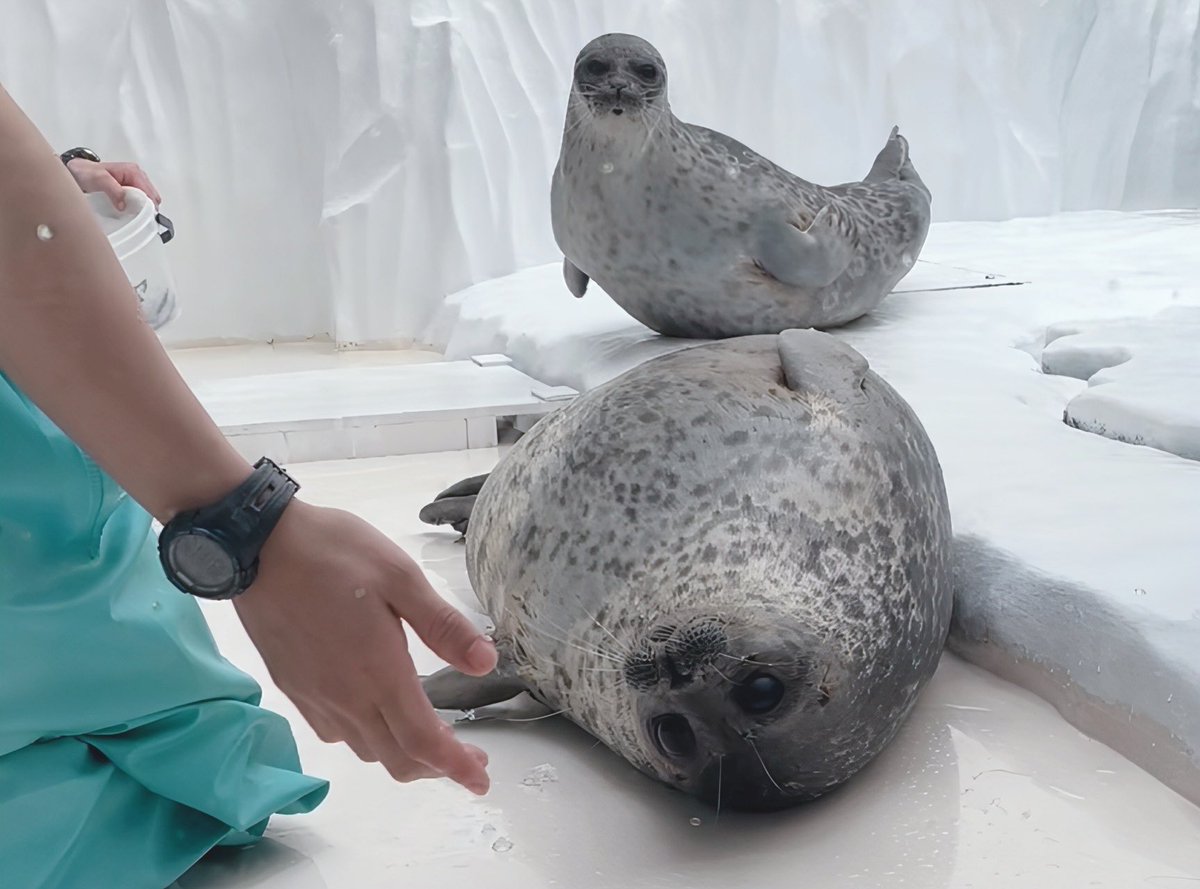 5/21味園ユニバースのりえもん (@minenorie) / Posts / X