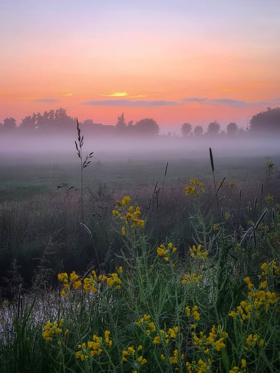 “A person often meets his destiny on the road he took 
to avoid it.”

~ Jean de La Fontaine, 𝐹𝑎𝑏𝑙𝑒𝑠 

May you enjoy every moment of this beautiful day.♡
·

© Morning light in Zoeterwoude, NL by Nimueh11