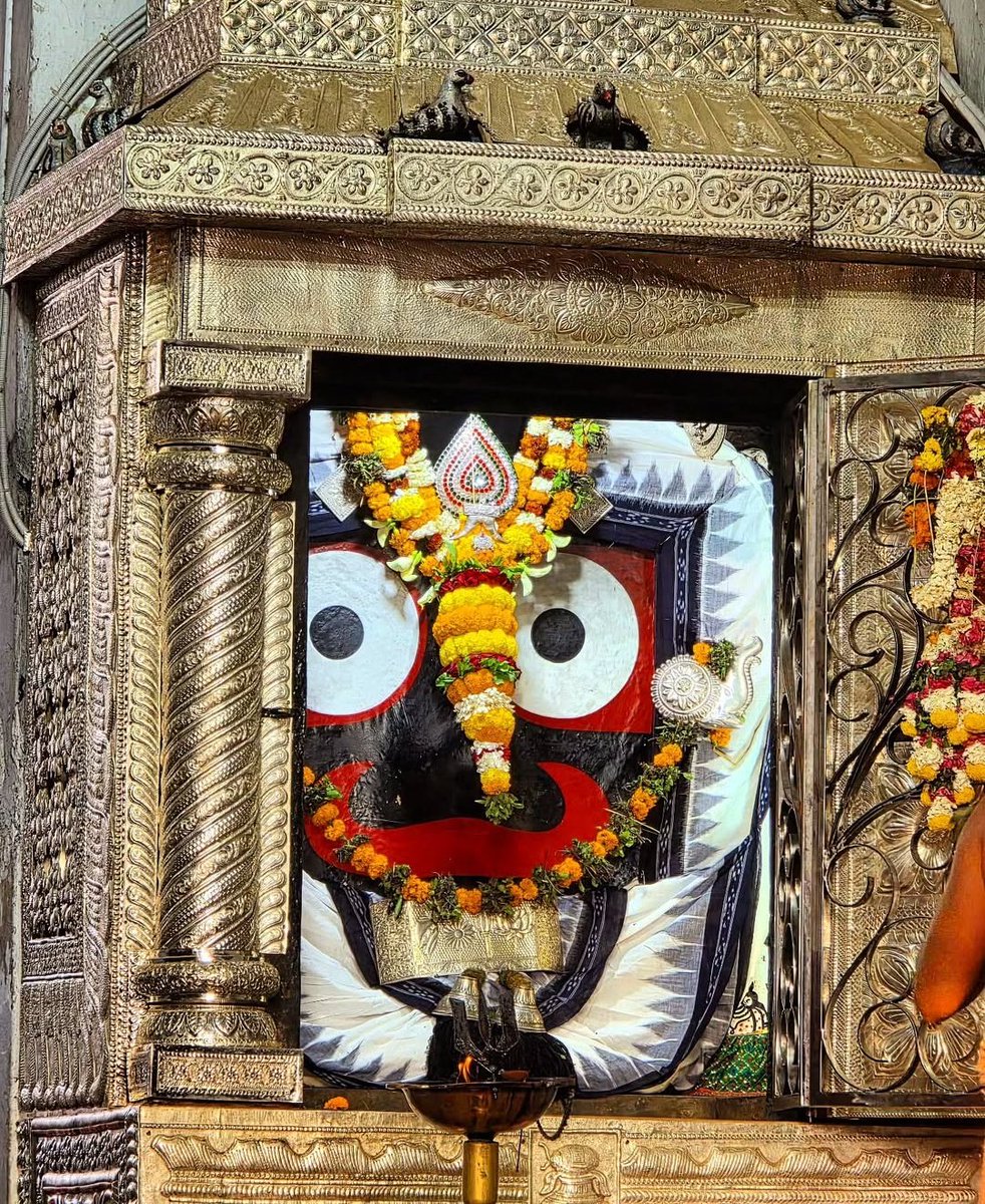 जगन्नाथः स्वामी नयन पथ गामी भवतु मे...🚩