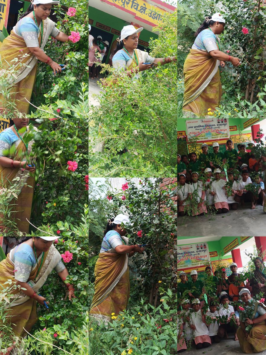 🌳 #प्रकृति_मित्र 🌳
Name -sunita verma 
Address- ups Harharpur Ujhani Badaun 
<a href="/shikshansamvad/">मिशन शिक्षण संवाद @shikshansamvad</a>  <a href="/teachersclubup/">teachers club</a> <a href="/UNEP/">UN Environment Programme</a> @eriksolheim <a href="/myogiadityanath/">Yogi Adityanath</a> <a href="/narendramodi/">Narendra Modi</a> <a href="/DEFCCOfficial/">Department of Environment, Forest & Climate Change</a> <a href="/basicshiksha_up/">Department Of Basic Education Uttar Pradesh</a> <a href="/Rupendersingh02/">Rupender Singh MSS</a>
साभार- टीम प्रकृति मित्र 
मिशन शिक्षण संवाद
#EkPedMaaKeNaam f