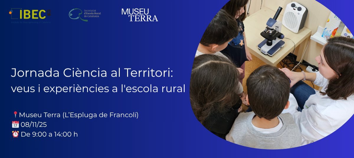 IBECBarcelona's tweet image. 🎓 Vols compartir el teu projecte STEAM a la jornada "Ciència al Territori"?
Hi pots participar de dues maneres:
1️⃣ Presentació flash de 5 minuts davant del públic
2️⃣ Demostració pràctica a la fira, oberta també a famílies
📅 Envia el teu resum abans del 30/09/2025