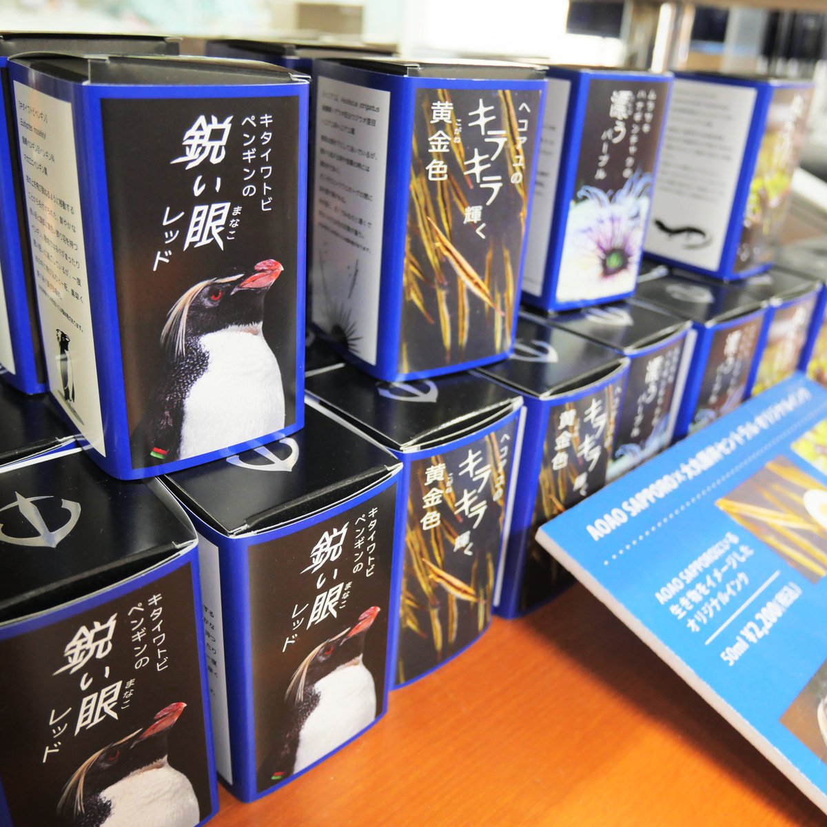 daimarucentral's tweet image. 先月、AOAO SAPPOROにキタイワトビペンギンの赤ちゃんが2匹誕生しました👏
元気に成長してくれる事を願うばかりです☺️
セントラル2階ではAOAO SAPPOROとのコラボ万年筆、インクを販売中です。キタイワトビペンギンをイメージしたインクもございます🐧
#大丸藤井セントラル #キタイワトビペンギン