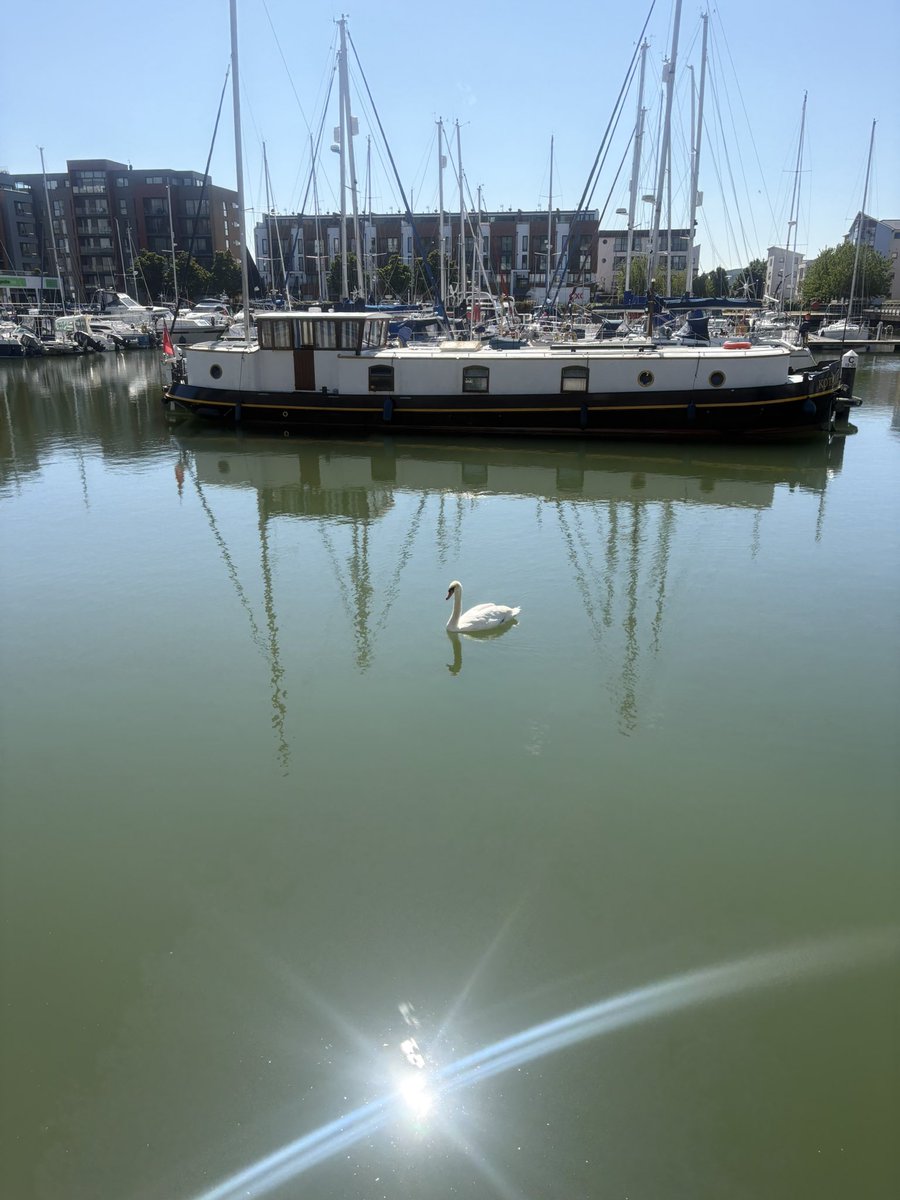 Libster06 tweet media