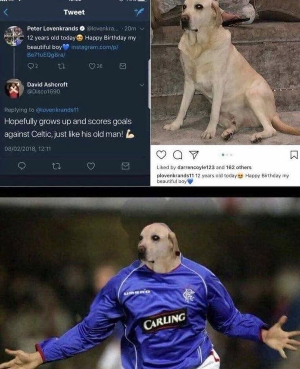 Still one of the funniest moments on Twitter 🤣🤣