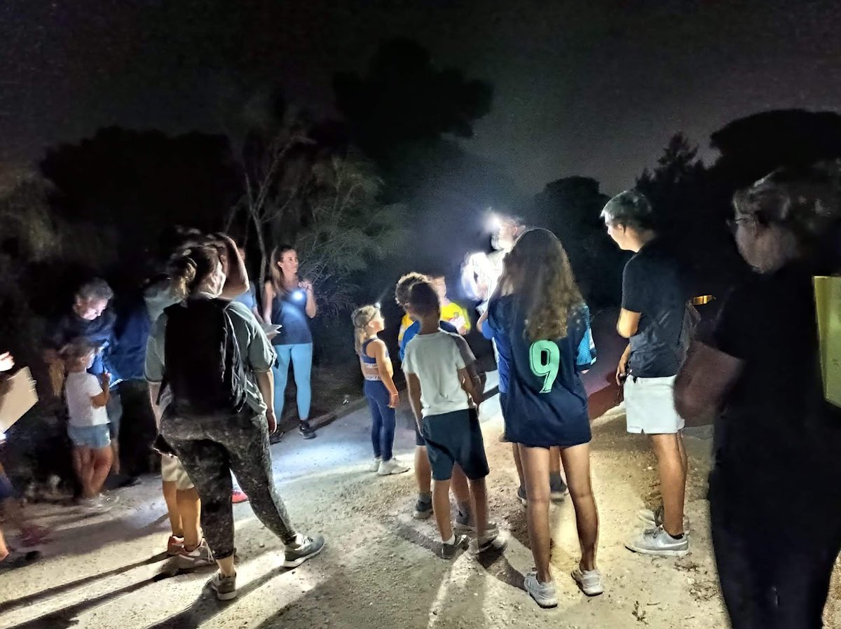 ParqueTorunos's tweet image. Hoy, en el @ParqueTorunos, aventura nocturna en familia "Un paseo a la luz de la noche". A las 22:00 h, en la entrada principal de la Algaida. Inscripciones en shre.ink/xjZQ
#aventuras #Verano 
@FomentoAND
@Cadizjunta
@Rocio_DiazJ
@TurismoElPuerto 
@TurismoPtoReal