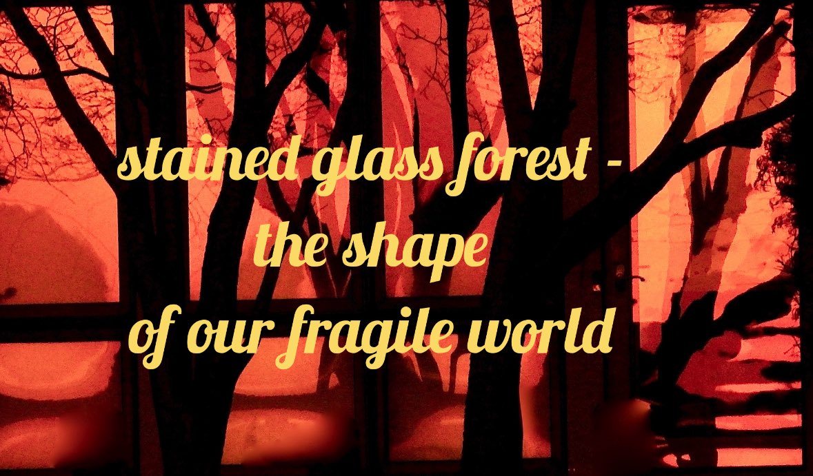 FreshoutMag's tweet image. #shahai by new contributor, Anne Fox @annefox333 of Broomes Island, Maryland. USA #poetry #haiku #photo #poetrylovers #photographylovers #forest #environment #fragile #poetrycommunity #maryland