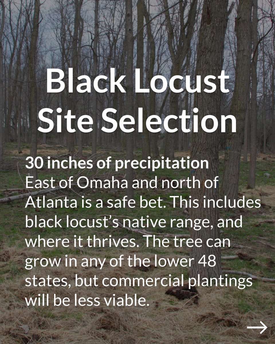 Propagate tweet media