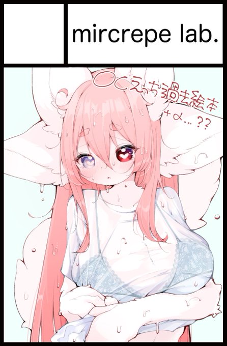 けもケット応募しました!はくれんちゃんがたくさん出ます 