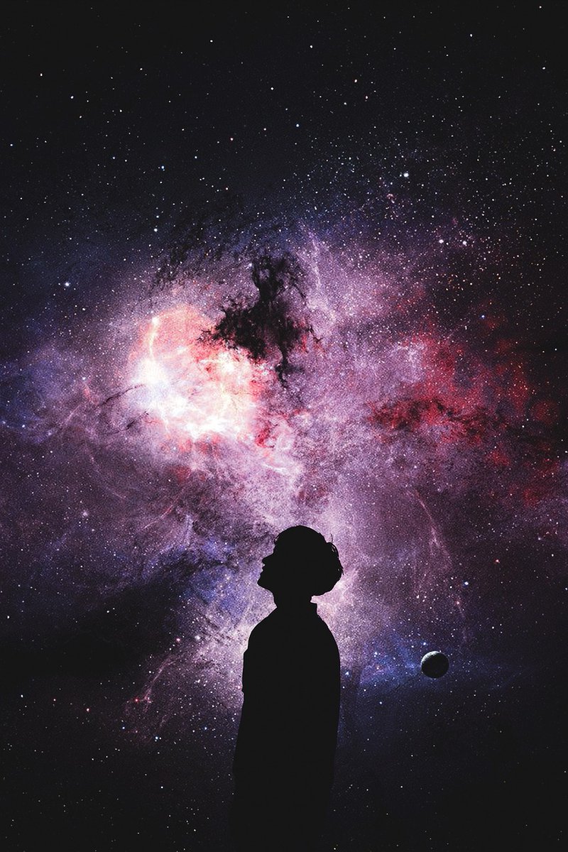 Lisa M Christie, PhD tweet media