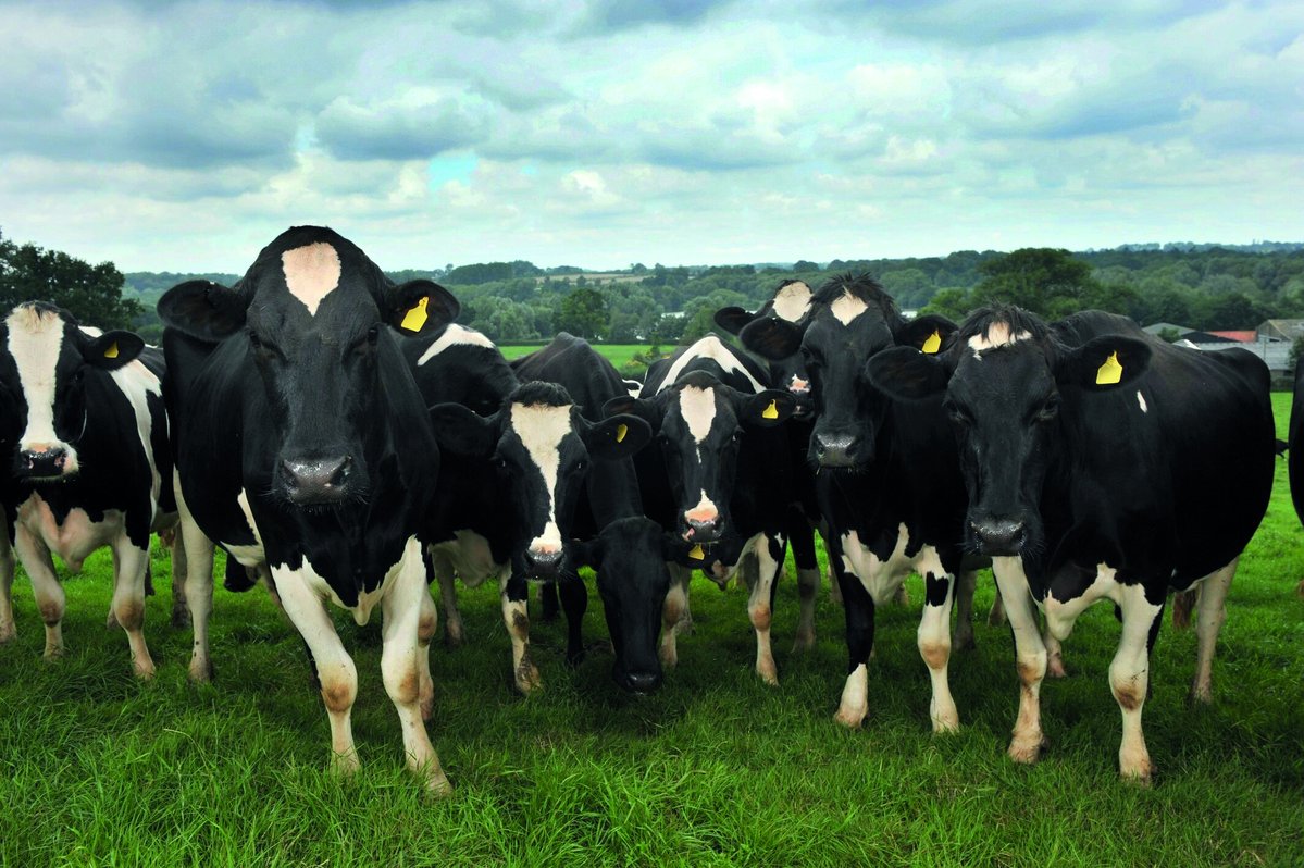 🚜 FETF 2025: Apply Now! 🚜
The Farming Equipment and Technology Fund (FETF) 2025 is open until midday on 10th July! Grants from £1,000 to £25,000 are available for productivity, slurry management and animal health. 

🔗 Apply here
bit.ly/3IefJdG