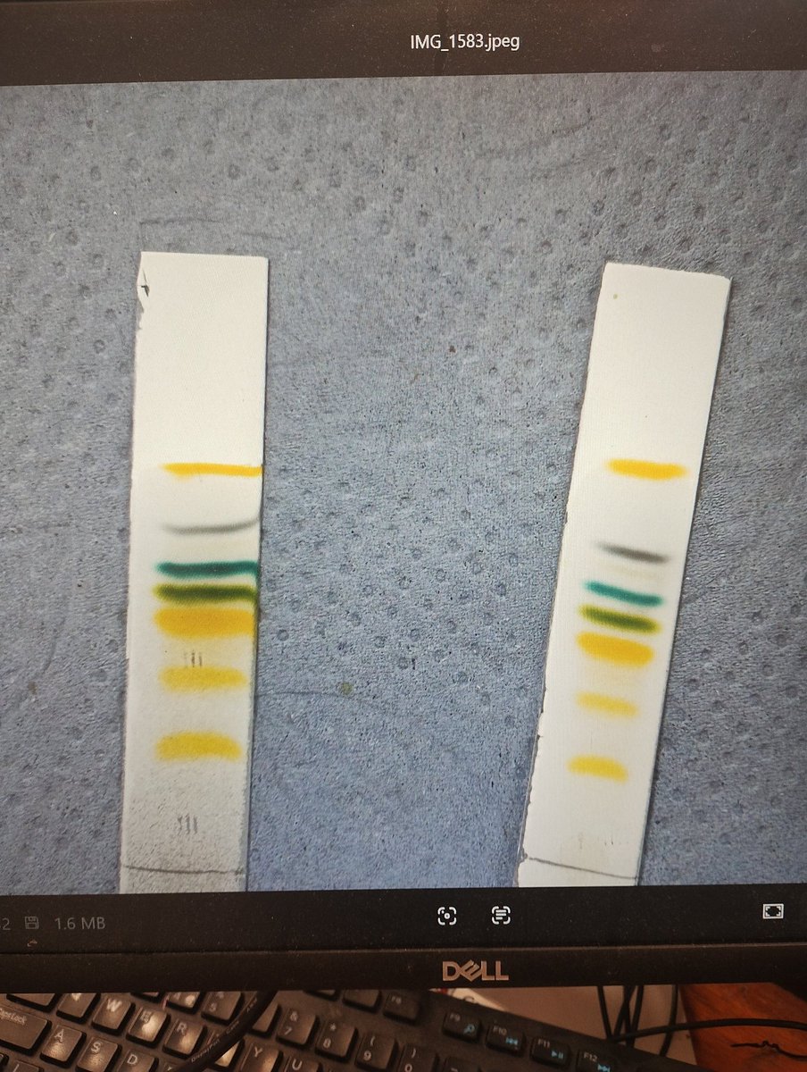 #gwitt #chatpt what a result! 😁👍