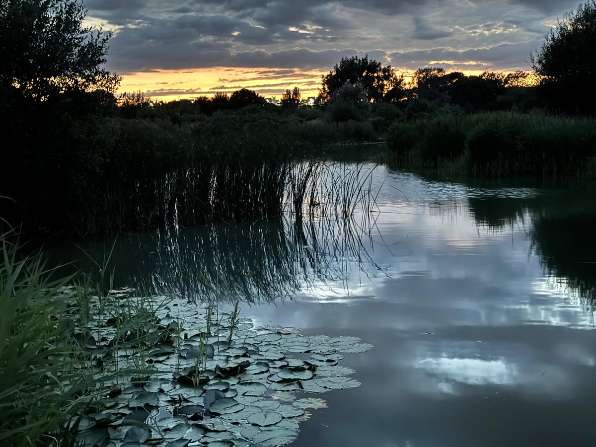 Redbridge Council (@redbridgelive) on Twitter photo Snap. Submit. Win BIG!
The Redbridge Photography Awards are open to everyone — no experience needed! Got a great shot? It could win you an amazing prize.
Check out these winning entries from last year👇 Snap. Submit. Win BIG!
The Redbridge Photography Awards are open to everyone — no experience needed! Got a great shot? It could win you an amazing prize.
Check out these winning entries from last year👇