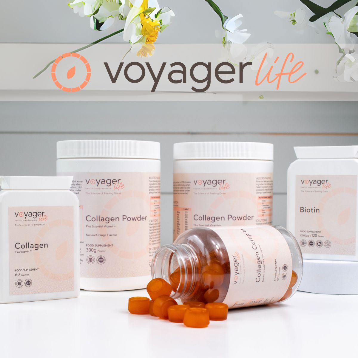 Voyager Life tweet media