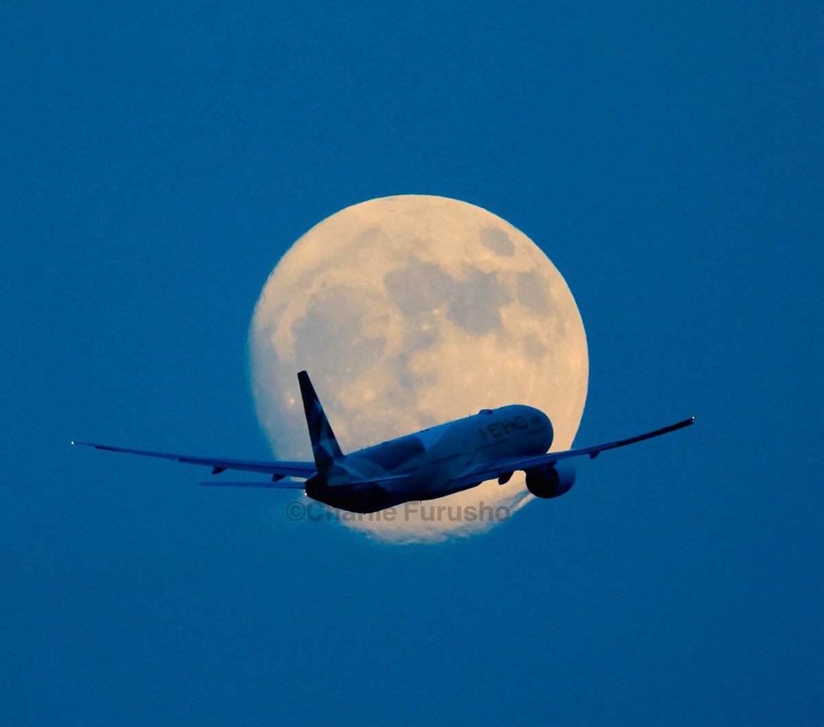 エティハド航空