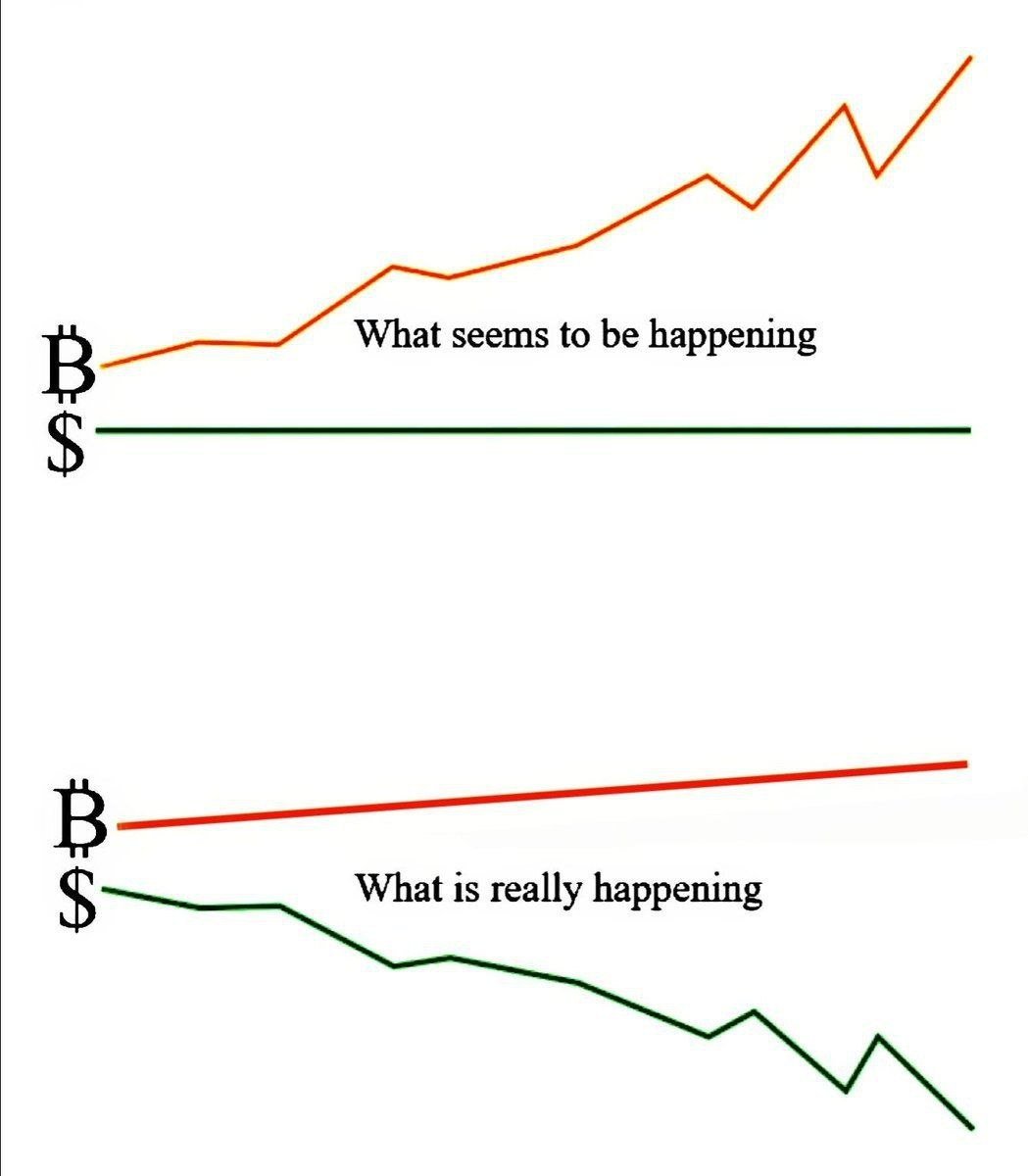 planb_network's tweet photo. ome say Bitcoin is volatile.
But it’s becoming the benchmark.
📉 Stable fiat = steady depreciation
📈 Bitcoin = volatile appreciation

Which side of history do you want to be on? https://t.co/7Oj9pMJZPK
