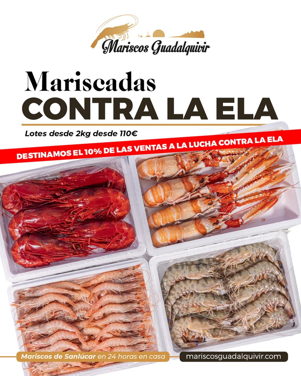 Tengo MARISCADAS CONTRA LA ELA para enviar a toda España en 24h.

Langostinos de Sanlúcar, gambas de Huelva, cigalas de Huelva, quisquillas de Motril, bocas, patas, carabineros extra. PROVEEDOR DE CASA BIGOTE.

Lotes desde 2kg hasta 5kg. Tú eliges, te lo enviamos fresco, cocido o